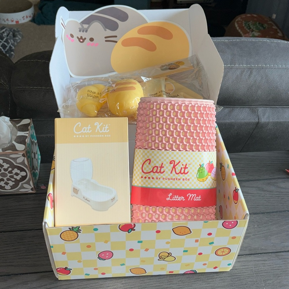 Pusheen Cat Box